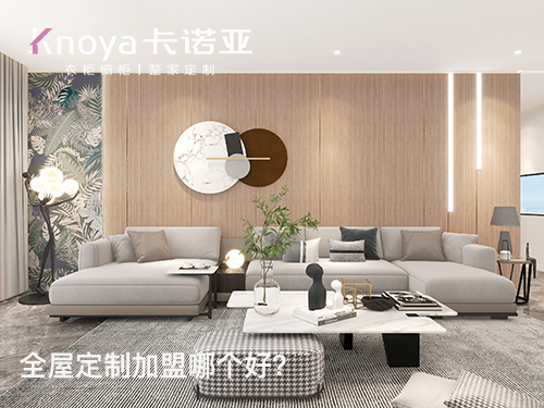 2023年河北全屋定制加盟選什么品牌好？